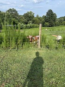 JMR RANCH HAND