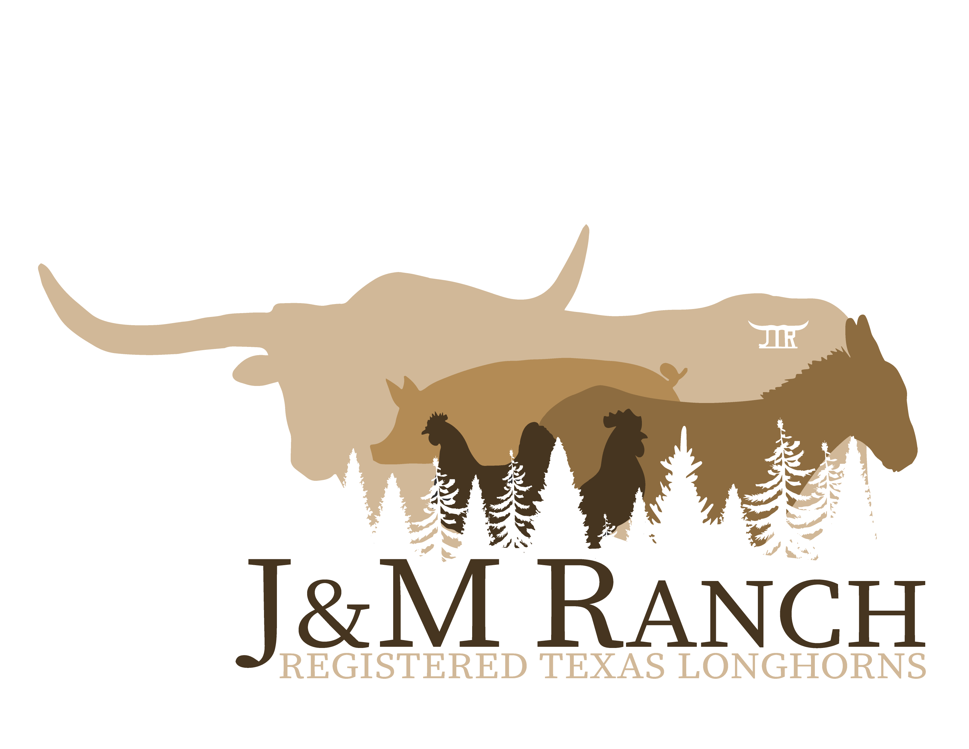 J&M Longhorns logo